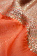 Orange banarasi organza saree