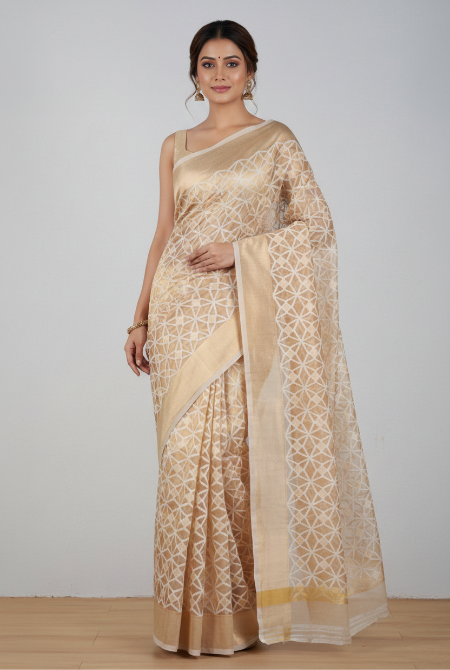 Golden kora organza banarasi saree