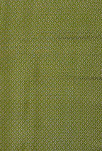 Parrot green moonga silk banarasi saree