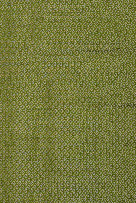 Parrot green moonga silk banarasi saree