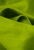 Parrot green moonga silk banarasi saree