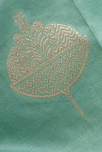 Sage green katan silk banarasi saree