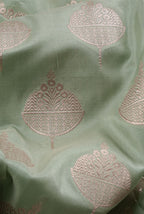 Pista katan silk banarasi saree