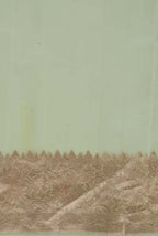 Pista banarasi organza saree