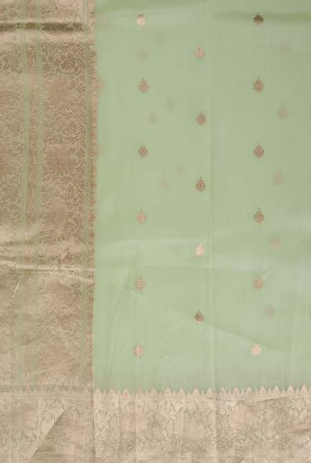 Pista banarasi organza saree