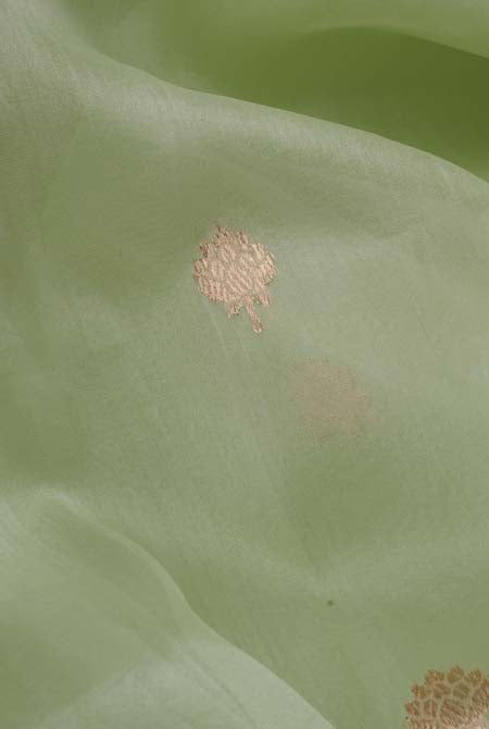 Pista banarasi organza saree