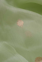 Pista banarasi organza saree