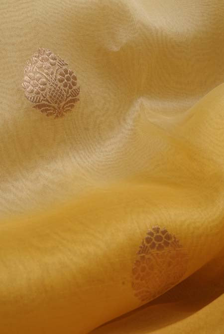 Mustard yellow shaded banarasi organza saree