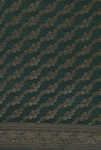 Blue-green border crepe chiffon banarasi saree