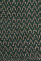 Green-dark green border crepe chiffon banarasi saree