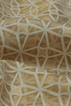 Golden kora organza banarasi saree