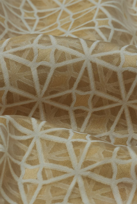 Golden kora organza banarasi saree