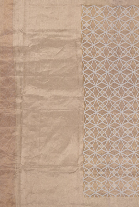 Golden kora organza banarasi saree