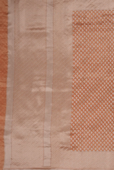 Pastel orange kora organza banarasi saree