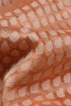 Pastel orange kora organza banarasi saree