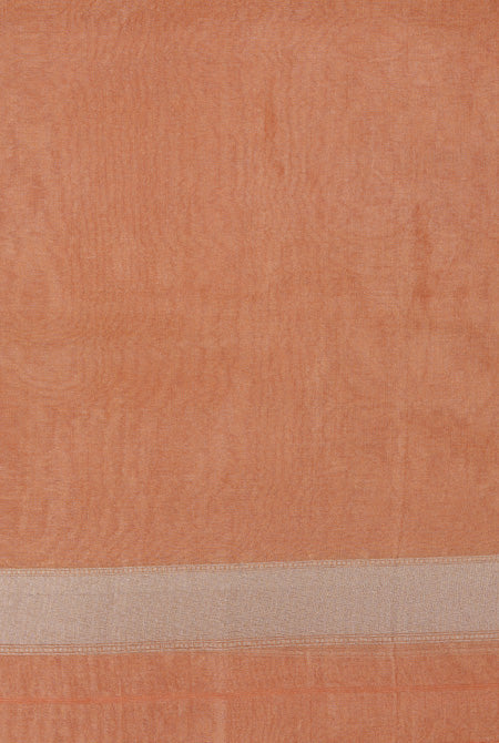 Pastel orange kora organza banarasi saree