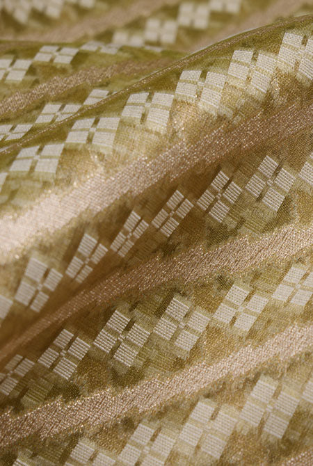 Pastel mehndi kora organza banarasi saree