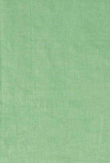 Light pista Linen saree