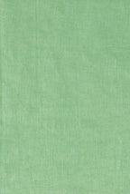 Light pista Linen saree