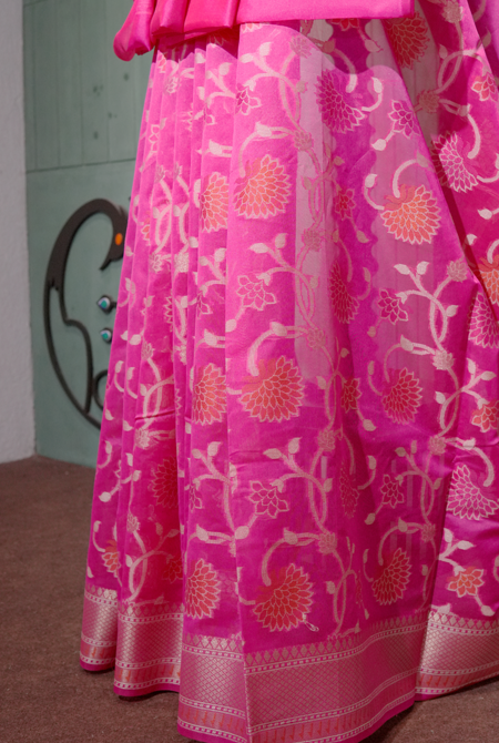 Raani banarasi cotton zaal saree