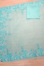 Sky blue Organza embroidery saree