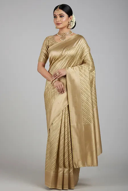 Pastel mehndi kora organza banarasi saree