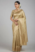Pastel mehndi kora organza banarasi saree