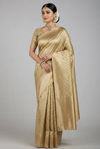 Pastel mehndi kora organza banarasi saree